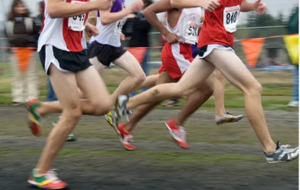 Championnats Départementaux de Cross de Charente Maritime