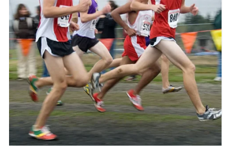 Championnats Départementaux de Cross de Charente Maritime